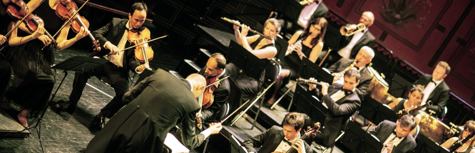 The Palais royal orchestra in concert